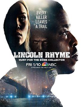 神探林肯：人骨拼图 Lincoln Rhyme: Hunt for the Bone Collector