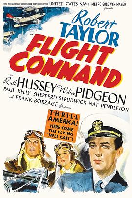 飞行太保 Flight Command