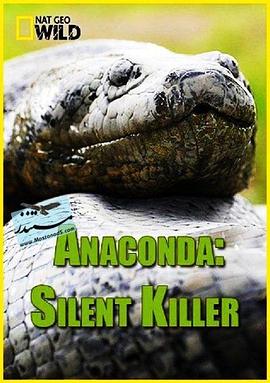 蟒蛇：沉默杀手 Anaconda: Silent Killer