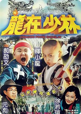 龙在少林 龍在少林