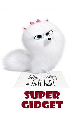 超级啾啾 Super Gidget