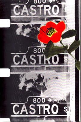卡斯特罗街 Castro Street