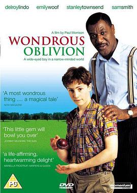 难得糊涂 Wondrous Oblivion