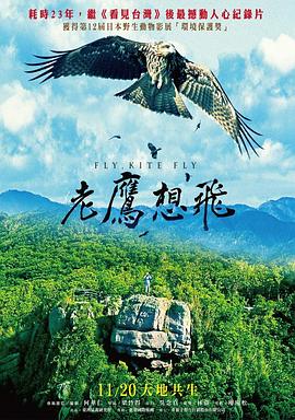 老鹰想飞 老鷹想飛