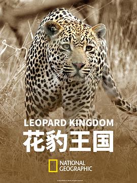 花豹王国 Leopard Kingdom