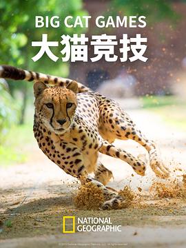 大猫竞技 Big Cat Games