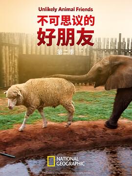 不可思议的好朋友 第二季 Unlikely Animal Friends Season 2
