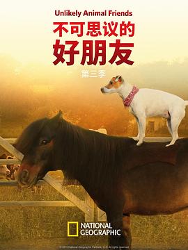 不可思议的好朋友 第三季 Unlikely Animal Friends Season 3