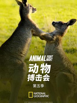 动物搏击会 第五季 Animal Fight Night Season 5