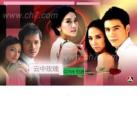 云上的玫瑰 กุหลาบเหนือเมฆ