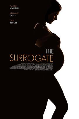 代孕 The Surrogate