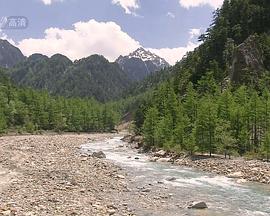 野生动物的秘密 第三季 Wild Secrets Season 03