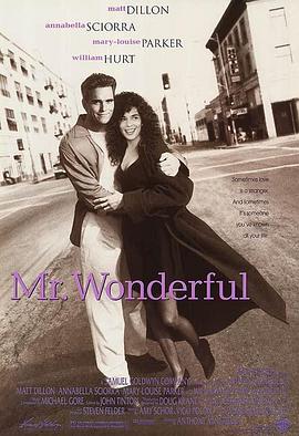 旧爱变新欢 Mr. Wonderful