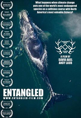 拯救露脊鲸 Entangled: The Race to Save Right Whales from Extinction