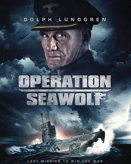 海狼行动 Operation Seawolf