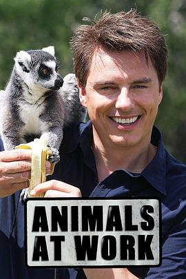 动物打工记 Animals at Work