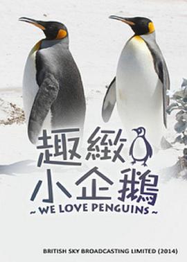 我们爱企鹅 We Love Penguins