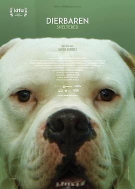 动物之家 Sheltered