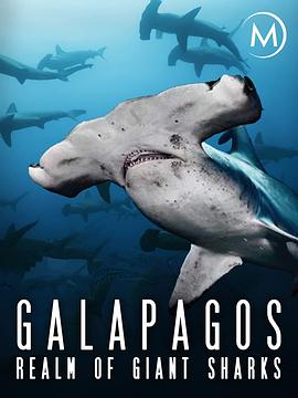 加拉帕戈斯群岛：巨大鲨鱼王国 Galapagos: Realm of Giant Sharks