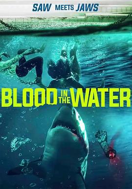 水中血 Bull Shark