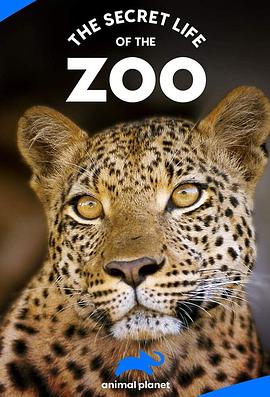 动物园的秘密生活 第二季 The Secret Life of the Zoo Season 2