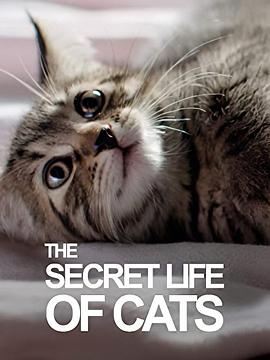 BBC地平线：猫的秘密生活 Horizon: The Secret Life of the Cat