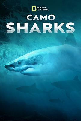 鲨鱼幻色术 Camo Sharks