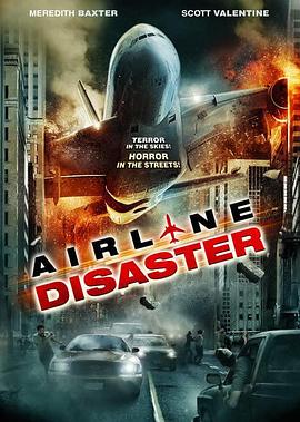 空难 Airline Disaster