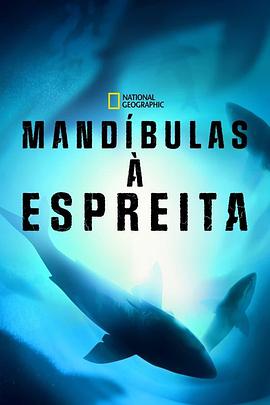 数数大白鲨 Counting Jaws