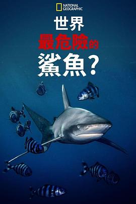 世上最危险的鲨鱼？ World's Most Dangerous Shark?