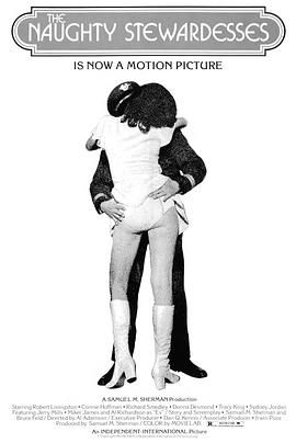 空中护理员 The Naughty Stewardesses