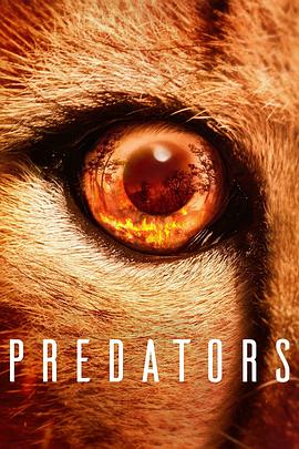 食肉动物 Predators