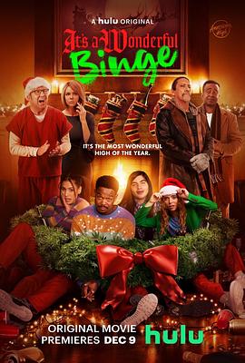 放纵狂欢2 The Binge 2: It's A Wonderful Binge