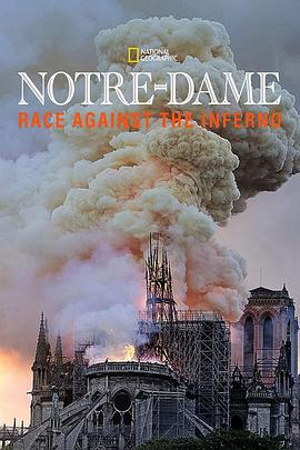 圣母院：与烈焰竞赛 Notre Dame: Race Against The Inferno