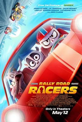 疯狂拉力赛 The Silk Road Rally