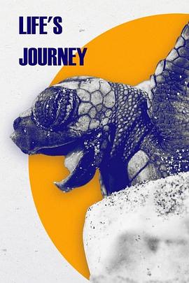 生命旅程 第一季 Life's Journey Season 1