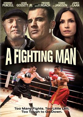 一个人的战斗 A Fighting Man