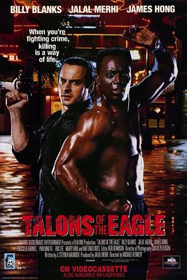 决战指令 Talons of the Eagle