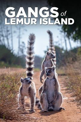 大战狐猴岛 第一季 Gangs of Lemur Island Season 1