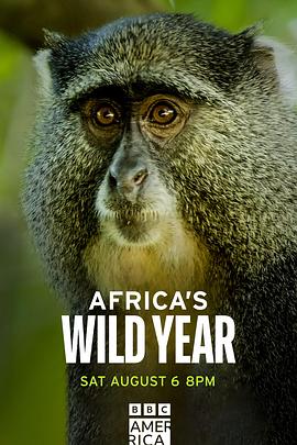 狂野非洲 第一季 Africa's wild year Season 1