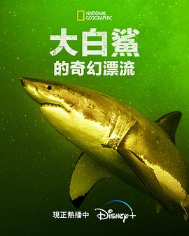 大白鲨的奇幻漂流 Return of the White Shark