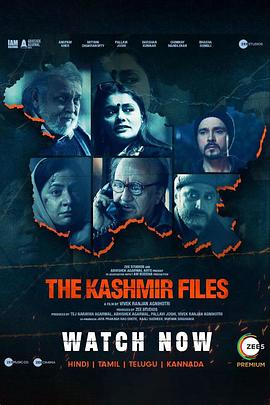 克什米尔档案 The Kashmir Files