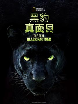 真黑豹无双 The Real Black Panther