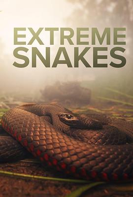 疯狂的蛇 Extreme Snakes