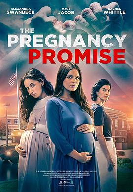 怀孕的承诺 The Pregnancy Promise