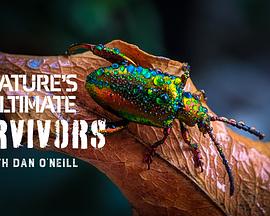 动物封神榜 第一季 Nature's Ultimate Survivors Season 1