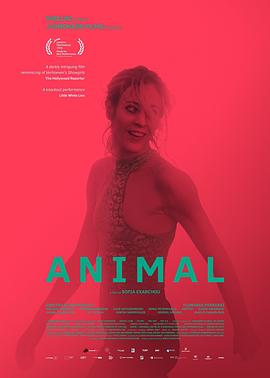 动物 Animal