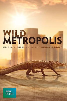 野性都市 Wild Metropolis