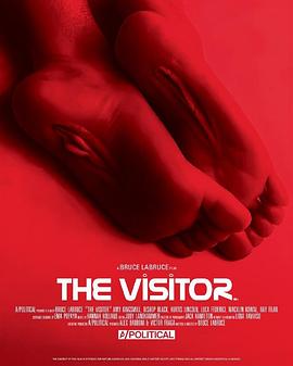 访客 The Visitor