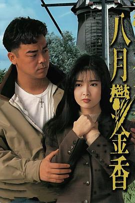 八月鬱金香 八月郁金香